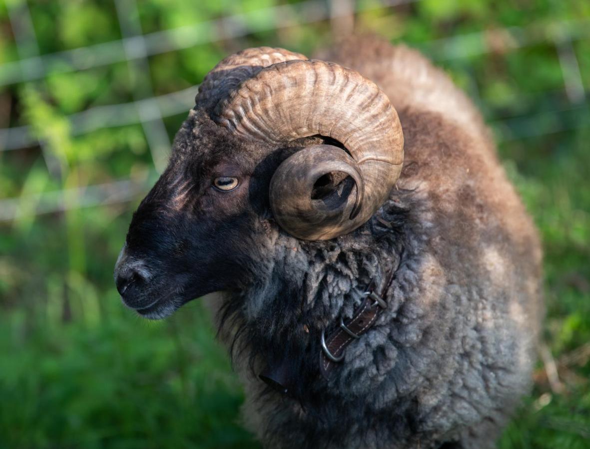 Ecogranja Sierra Hermosa Cecenas Zewnętrze zdjęcie